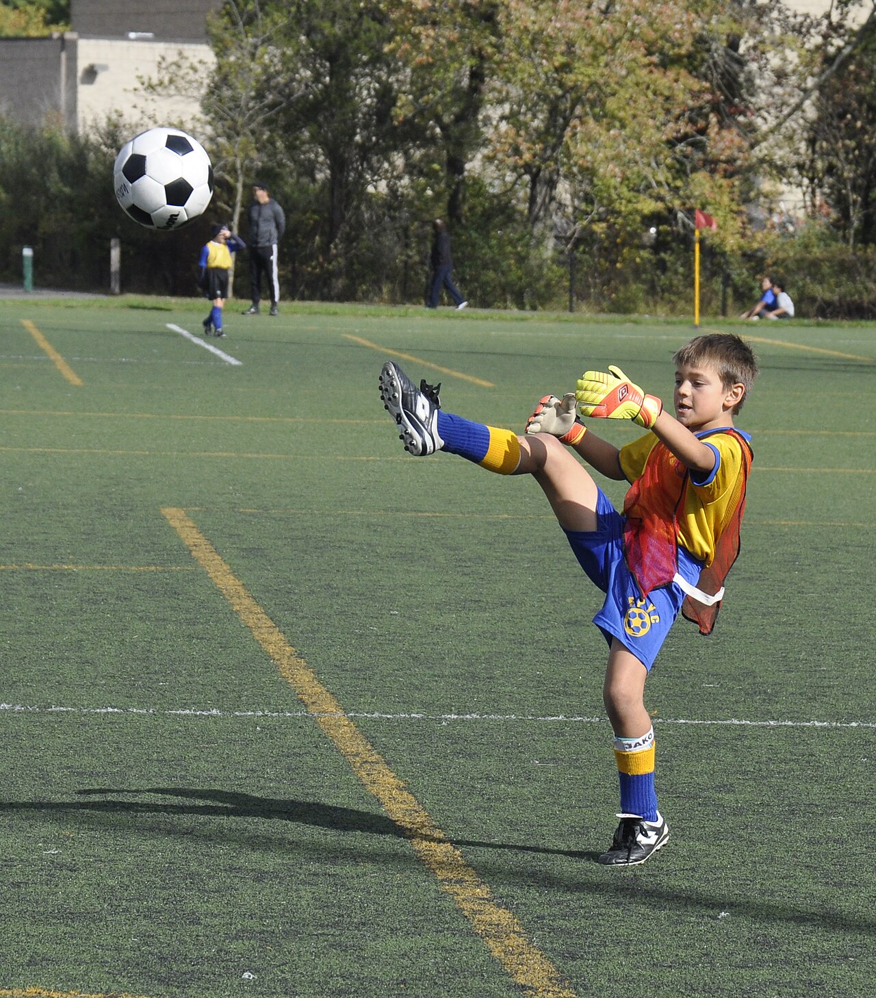 The 10 Breakout Stars of the 2025-26 Season You Need to Know